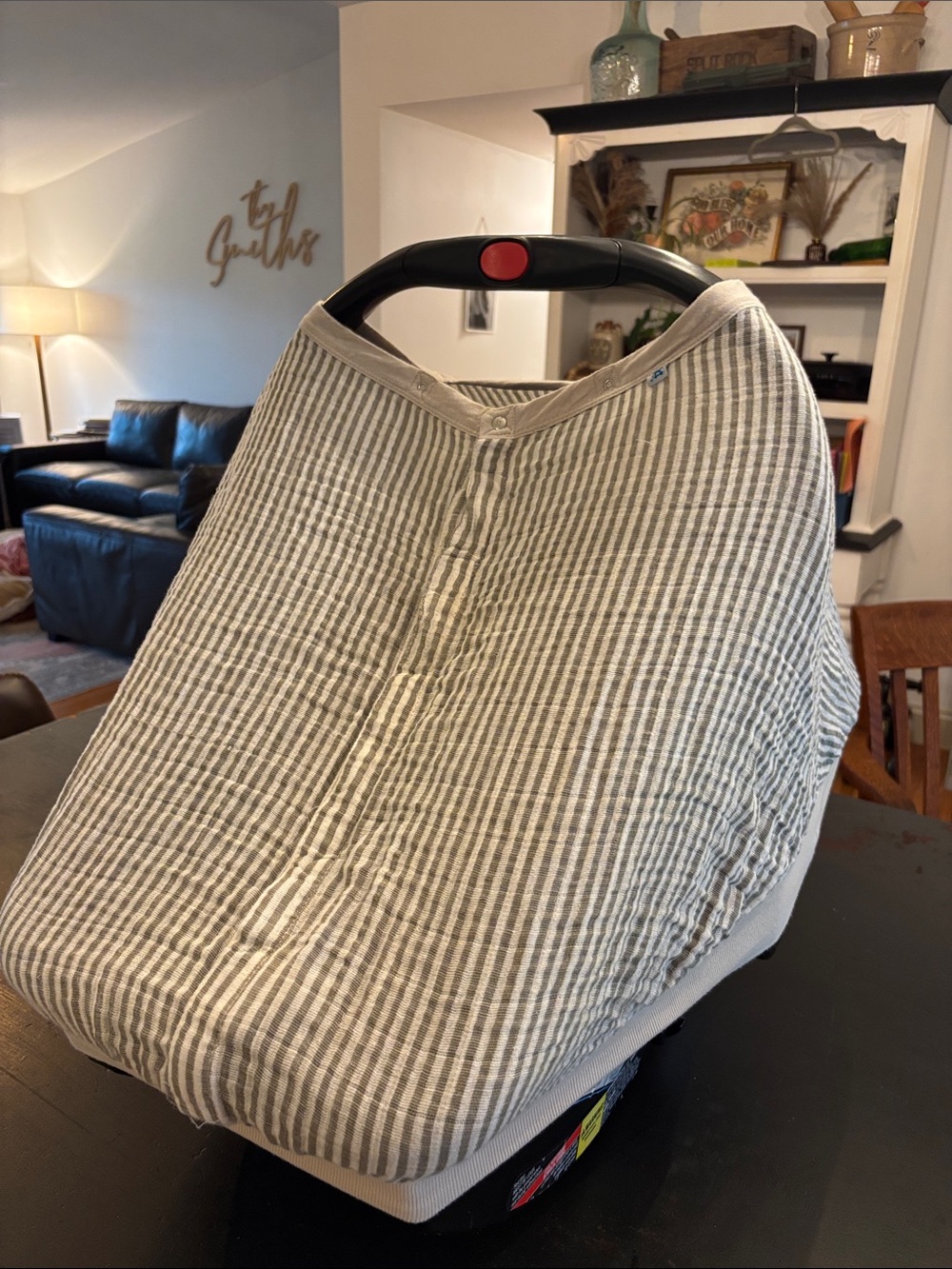 Little Unicorn Striped Infant Car Seat Cover